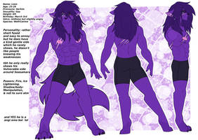 Liam reference sheet :3