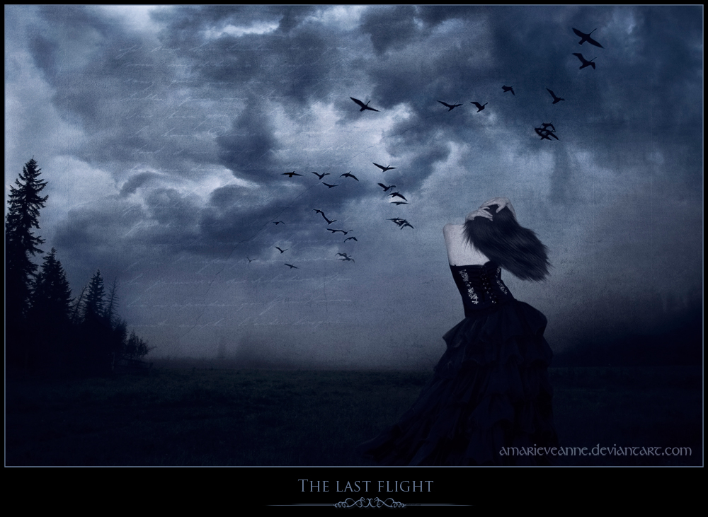 The Last Flight