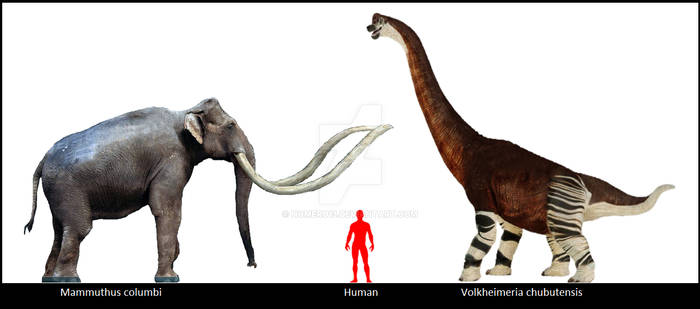Proboscidiean vs Sauropod