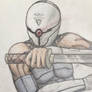 Gray Fox