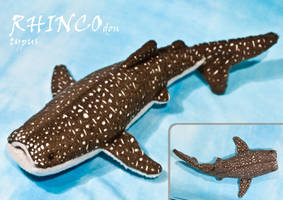 Shark Week Day 5: Rhinco, the whale shark