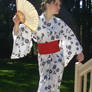 Kimono Krazy 23