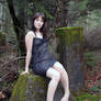 Halos Fall Occasionaly