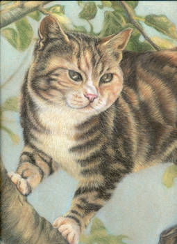 Cat in Tree, detail