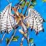 kestrel Bird Dragon
