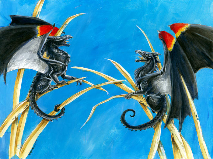 Rivals by Hbruton on DeviantArt