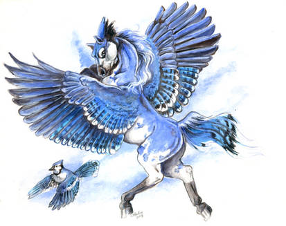 Bluejay Pegasus
