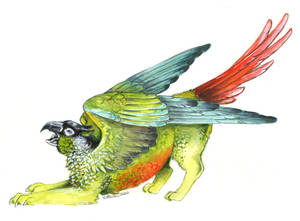 Green Cheeked Gryphon