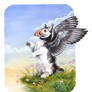 Puffin Gryphon