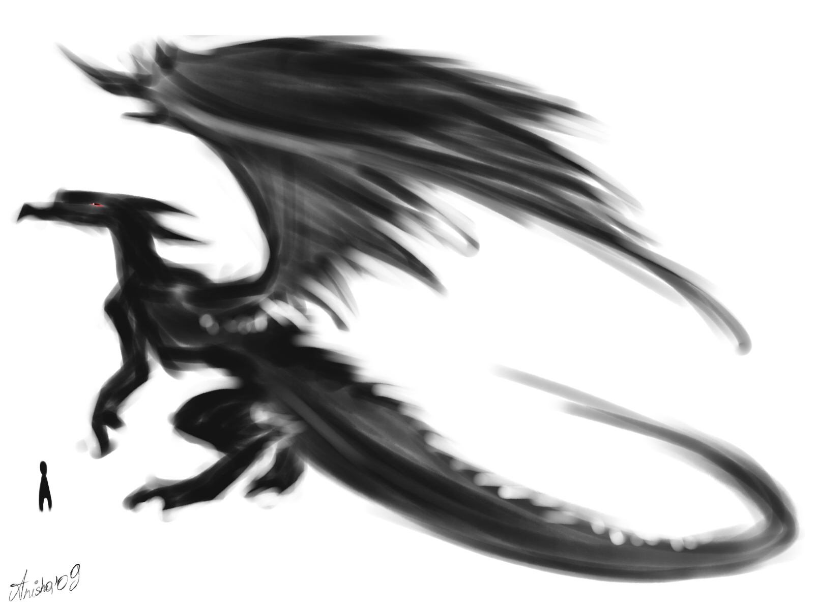 Dragon concept 2