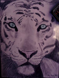 White Tiger