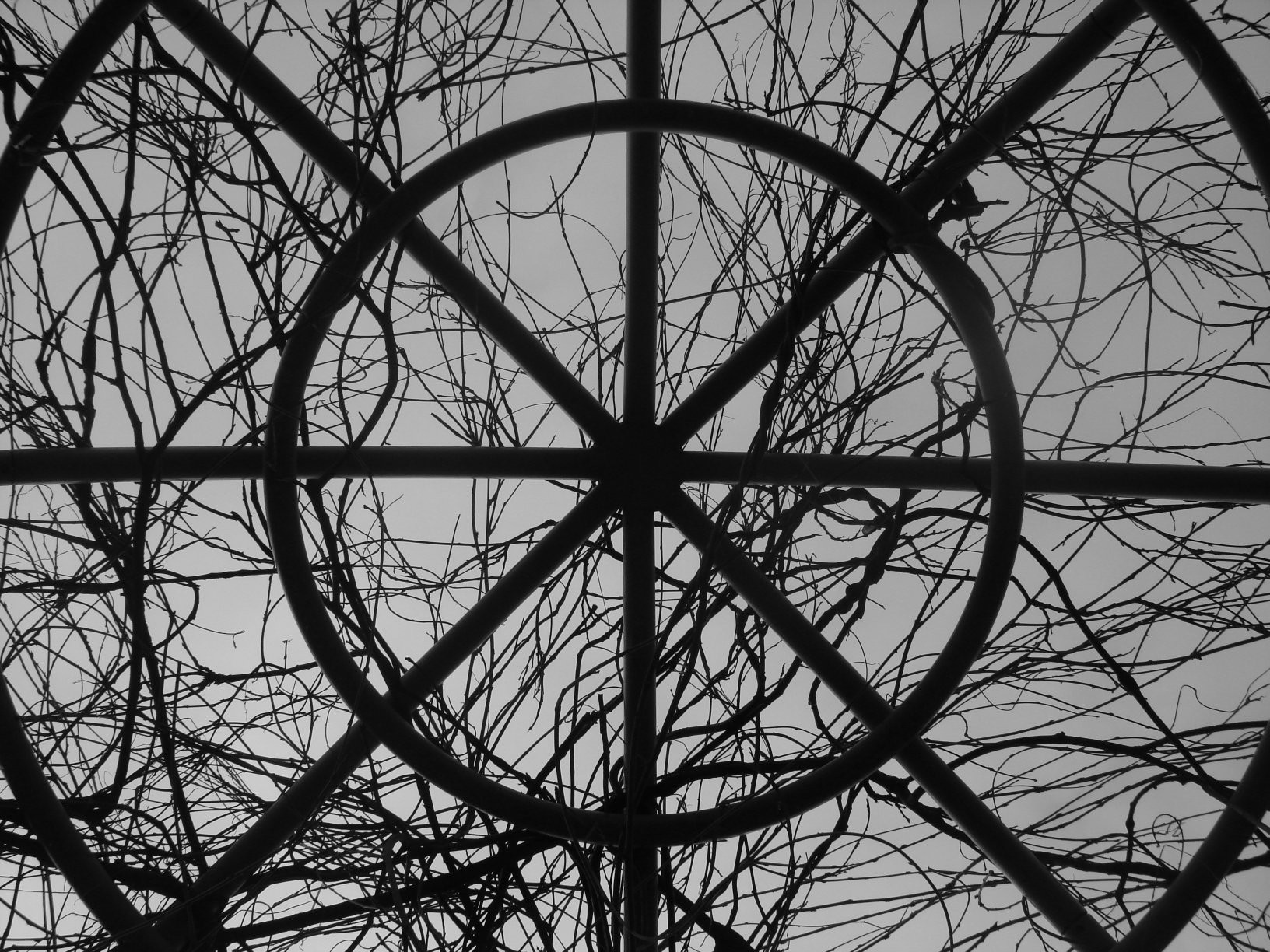 (2007) Widow's Window