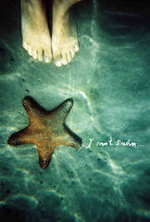 Dilemma Of A Starfish