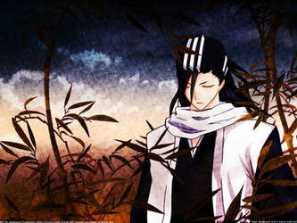 byakuya wise, strong, respecte