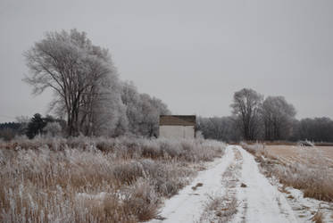 Frosted Countryside