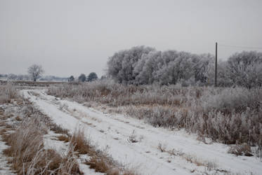 Frosted Countryside #2