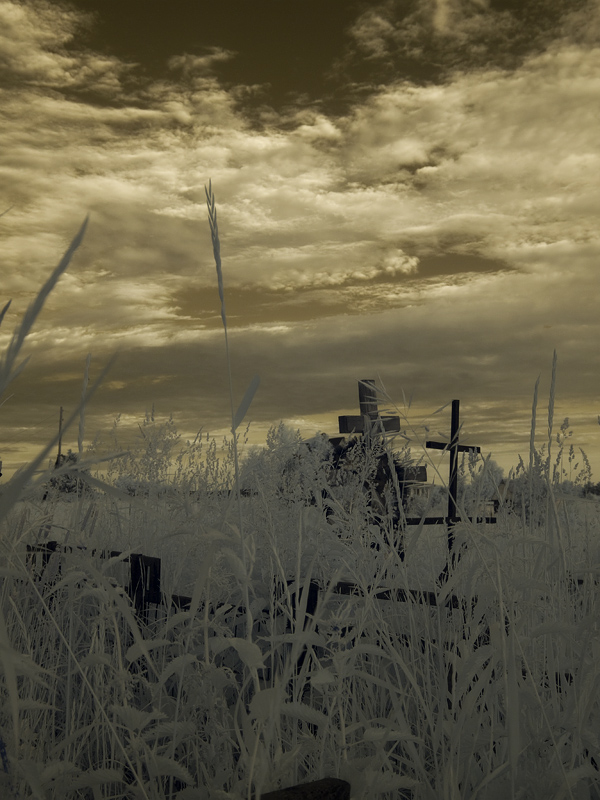 old graveyard crosses