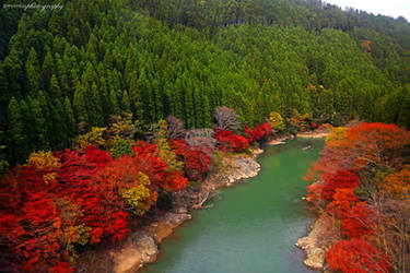 Arashiyama Kyoto by evenliu