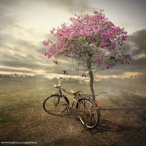 bicycle by evenliu