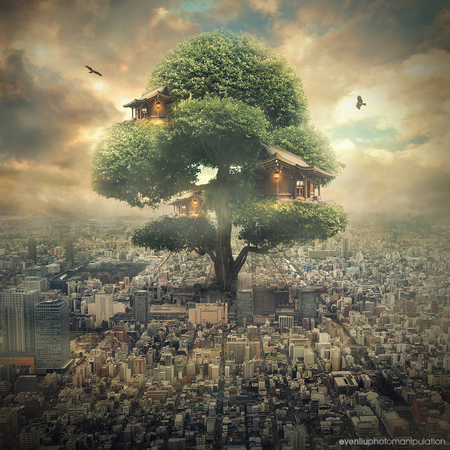tree house by evenliu