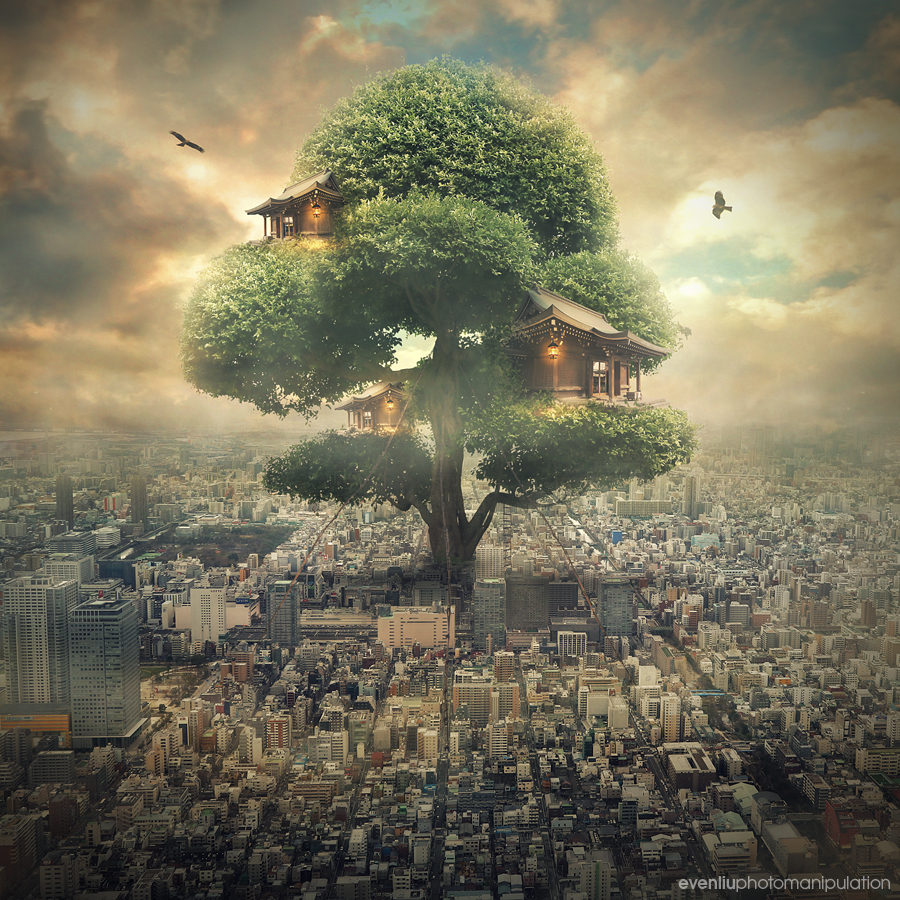 tree house by evenliu