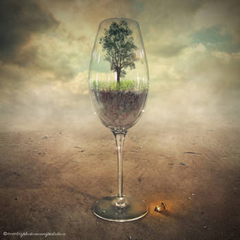 glass of tree by evenliu