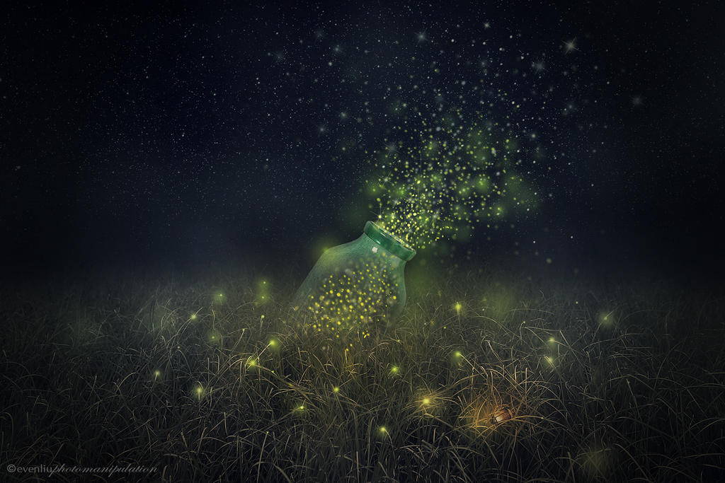 fireflies by evenliu on DeviantArt