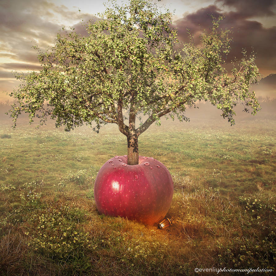 Яблоня картина. Яблочное дерево. Красивые яблоки на дереве. Яблоня красивое дерево. Сказочная яблоня.