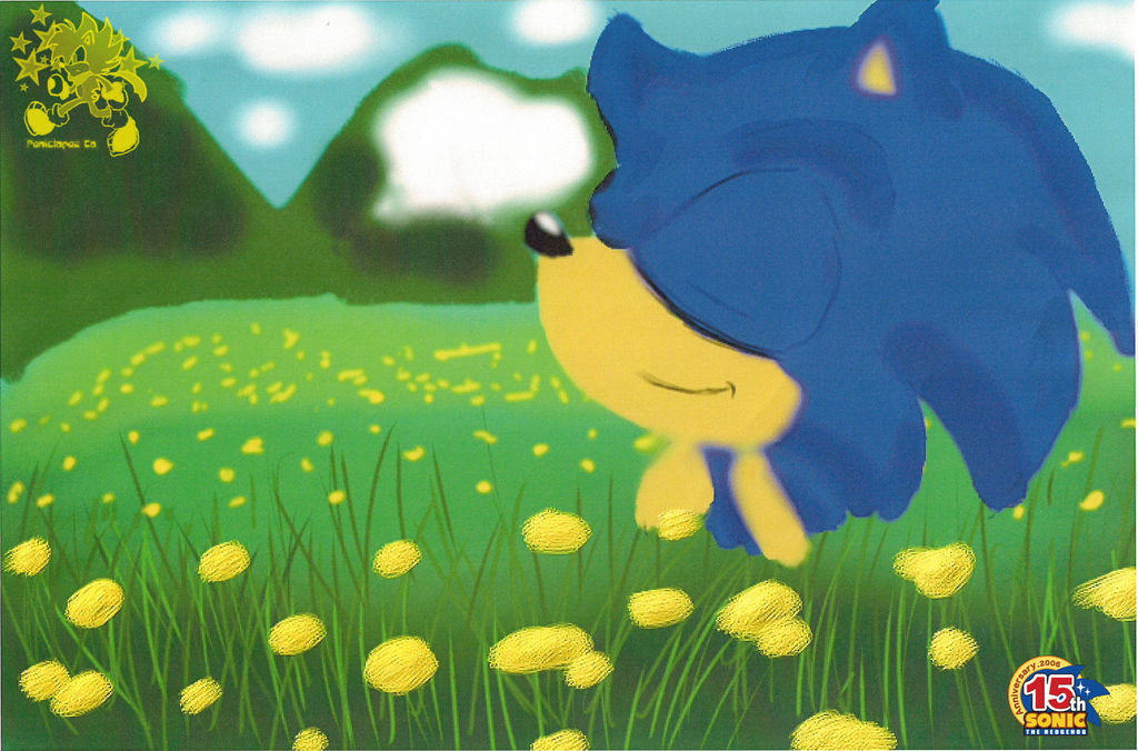 Sonic: Landscape Project by PanicTopaz on DeviantArt