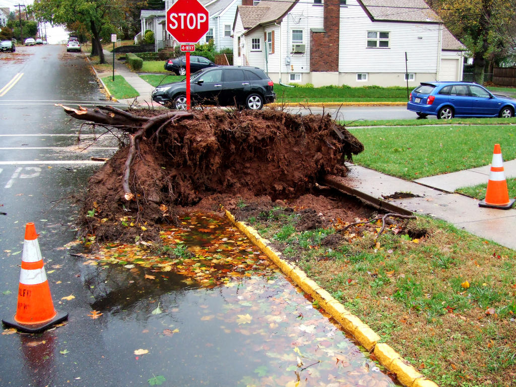 Common Sandy reminder in my neighborhood.