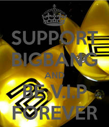 Support BIGBANG