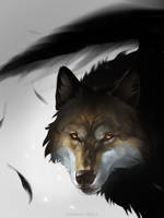 Winged wolf portrait (open)