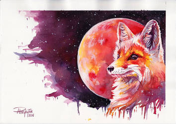 Fox and Mars