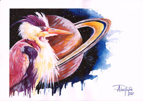 Heron and Saturn