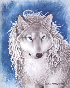 Winter Wolf