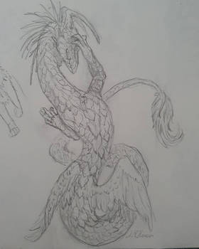 Dragon sketch