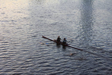 Rowers On The Charles River