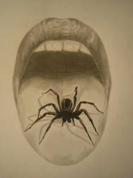 Pensil drawing spider..