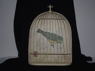 french bird cage stock 4