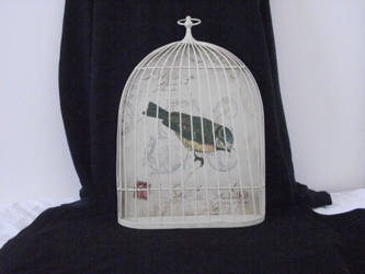 french bird cage stock 7