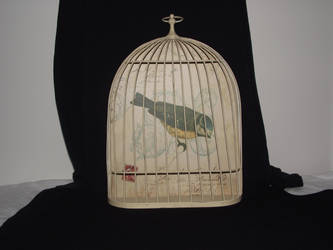 french bird cage stock 8