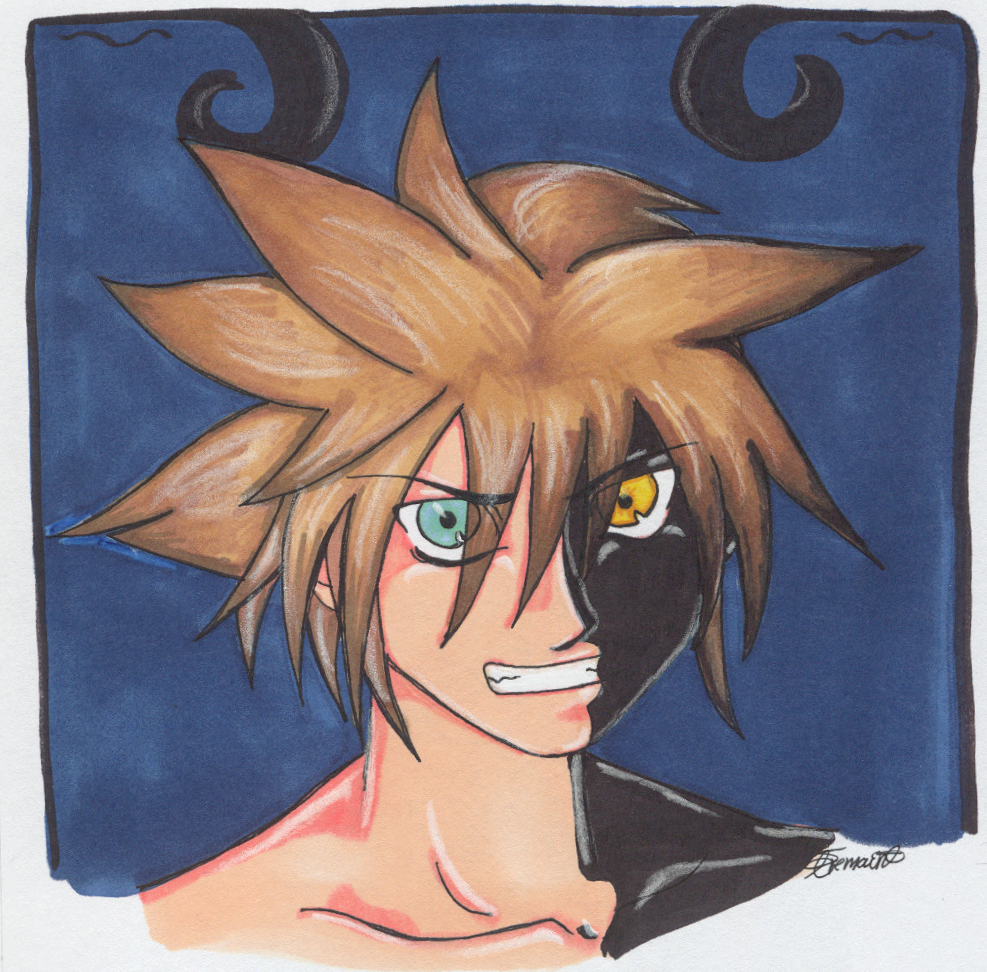 Sora the Heartless