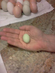 Smallest egg three