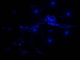 Blue Code I