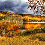 Autumn Lakeside