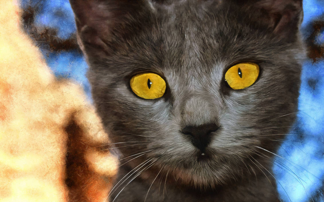 Кошка с желтыми глазами порода