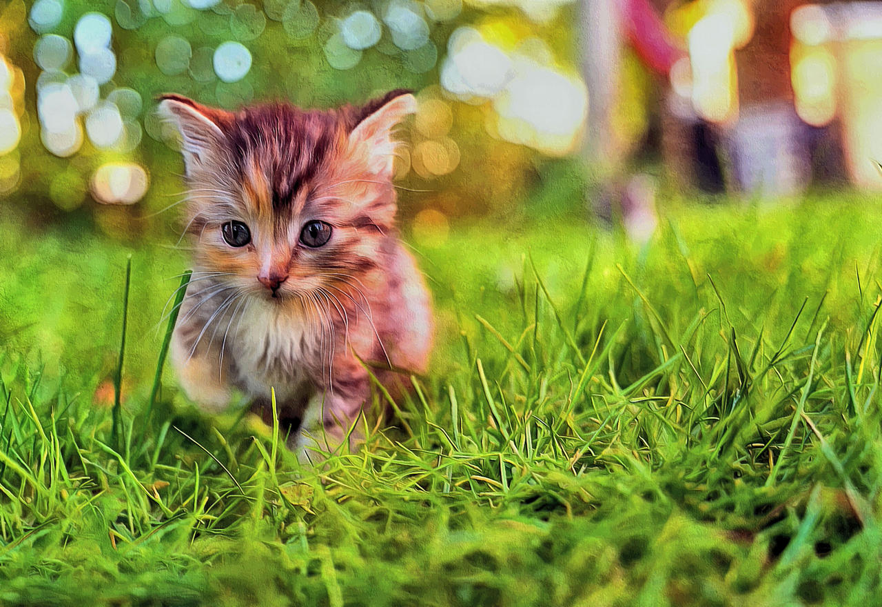 Little Explorer by montag451 on DeviantArt