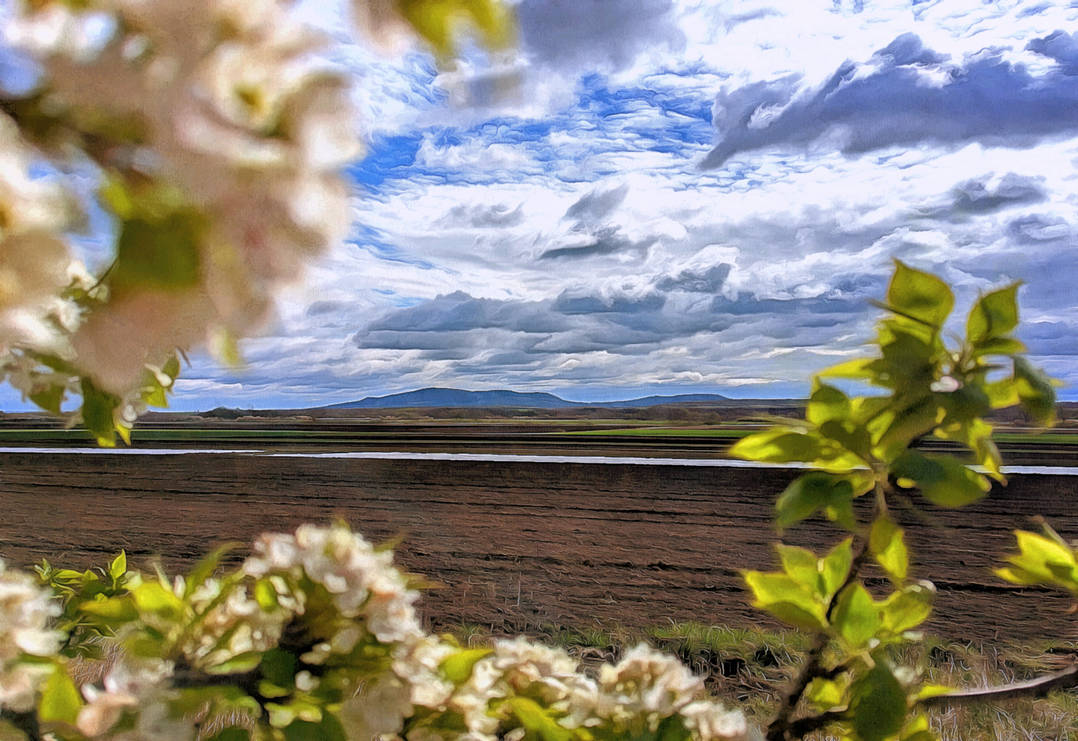 Surreal Spring Photography Surreal Spring by montag451 on DeviantArt
