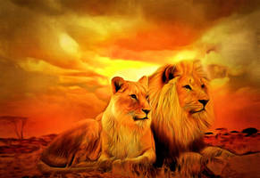 King And Queen