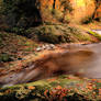 A Stream Runs Through It